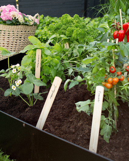 ODLA PALLKRAGE 1200X800X200X1 MM, SVART