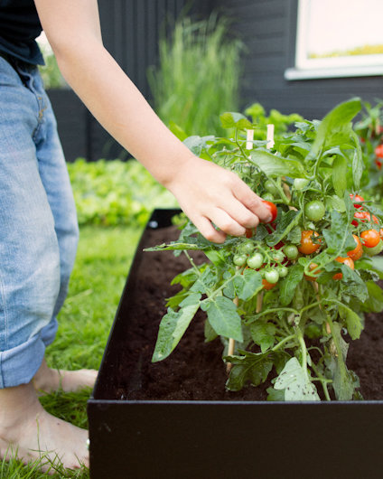 ODLA PALLKRAGE 1200X800X200X1 MM, SVART