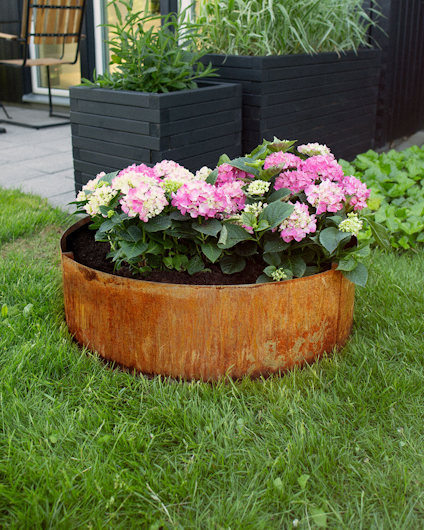 ODLA PALLKRAGE RUND Ø 600X200X1 MM, OBEHANDLAD